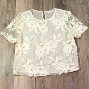 Sheer Lace Detail Top